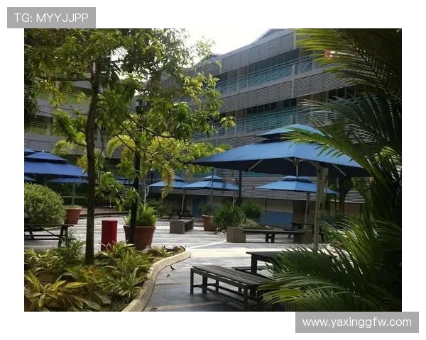 亚星国际教育的留学咨询服务流程详解，帮助学生高效规划留学未来